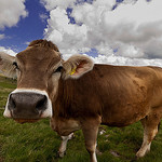 Hack Education Weekly News: Elsevier Buys Mendeley, edX Expands in California, and More