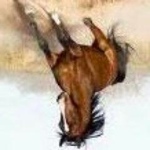 Welcome to Twitter, @horse_edubooks! (My First Twitter Bot)