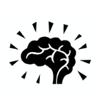 Beware ‘brain-based learning’